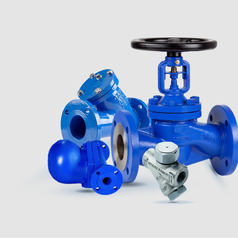 Steam Line Valves